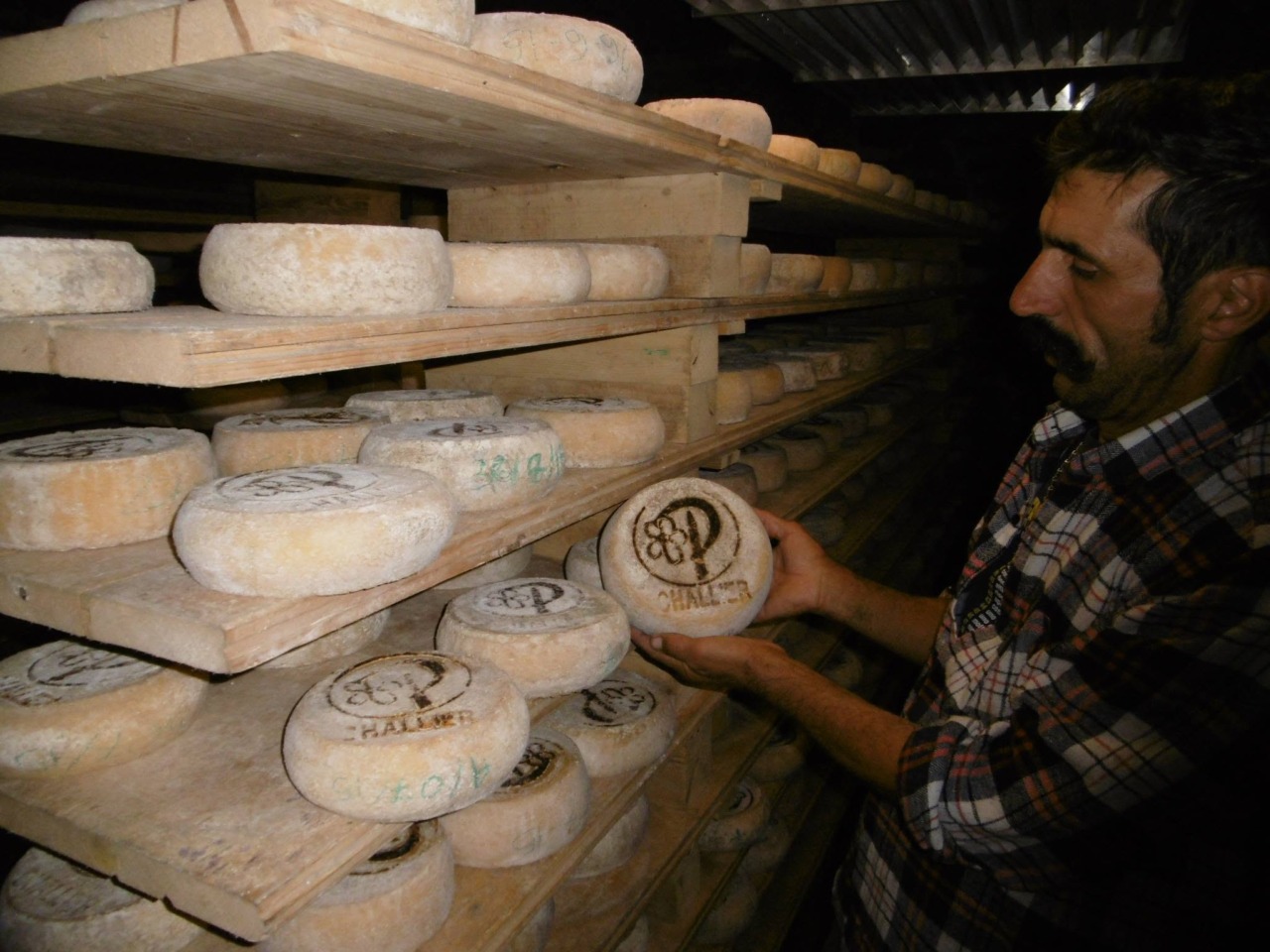Perosa Argentina, torna la Fiera del Plaisentif con la rievocazione storica di Poggio Oddone