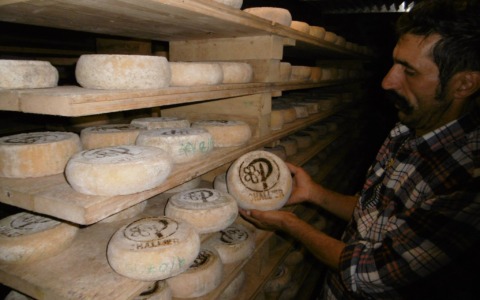 Perosa Argentina, torna la Fiera del Plaisentif con la rievocazione storica di Poggio Oddone