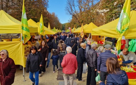 Orbassano, la Giornata dell’Alimentazione sbarca al San Luigi: mercato contadino e salute